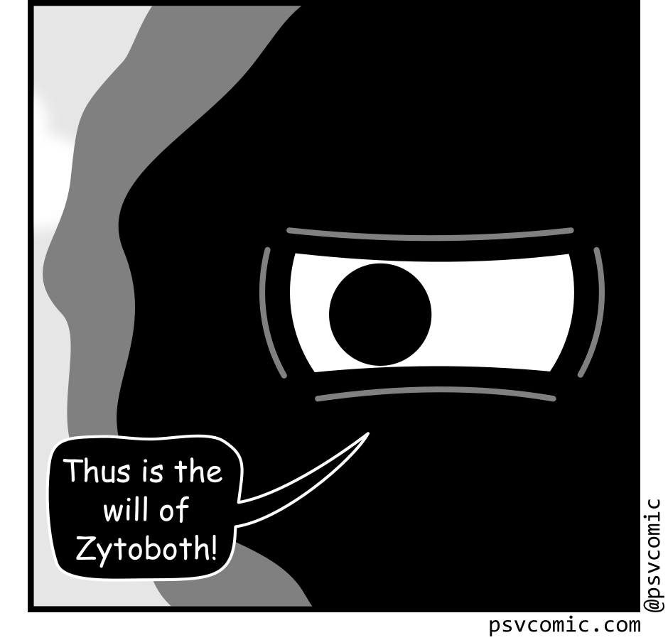 Panel 6